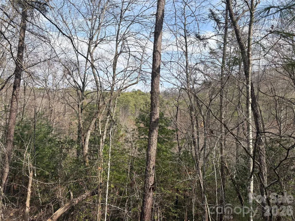 00 Round Hill Road #14 Bryson City, NC 28713