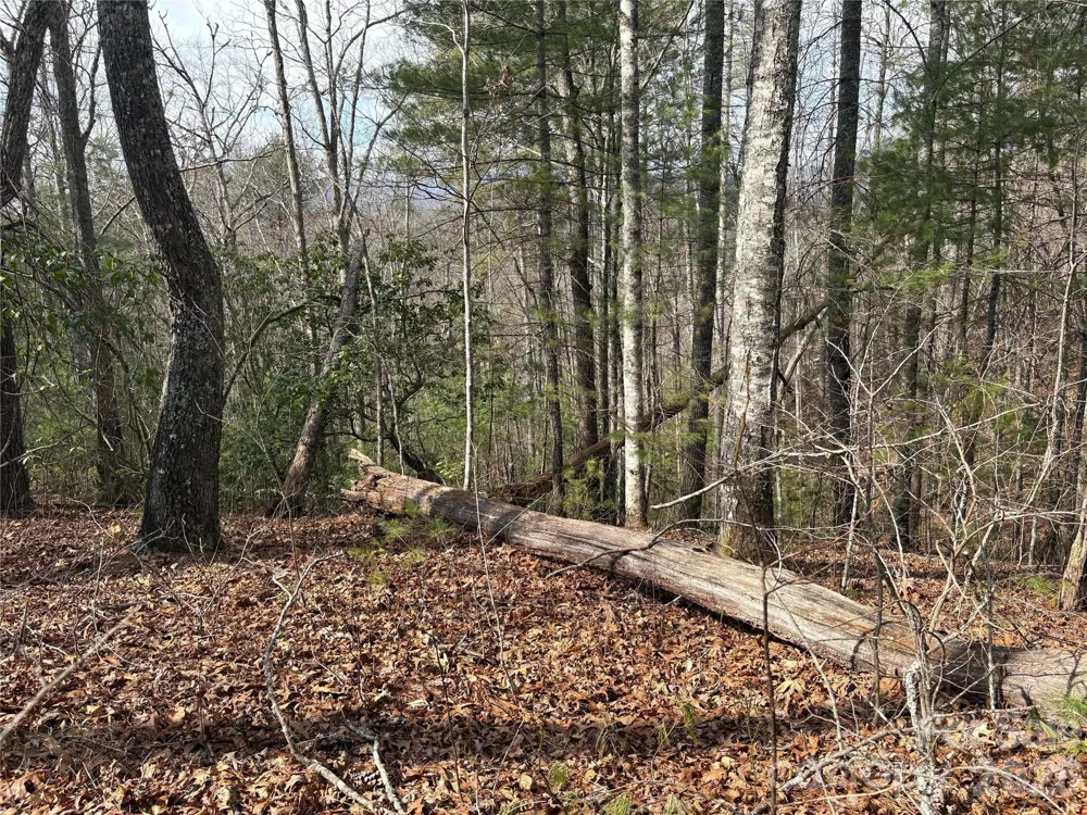 00 Round Hill Road #14 Bryson City, NC 28713