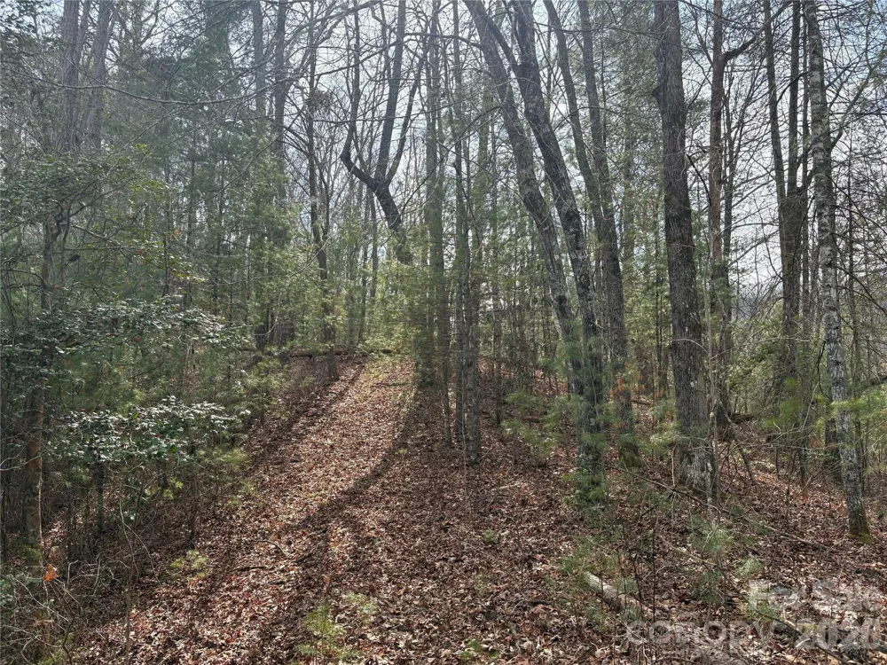 00 Round Hill Road #14 Bryson City, NC 28713