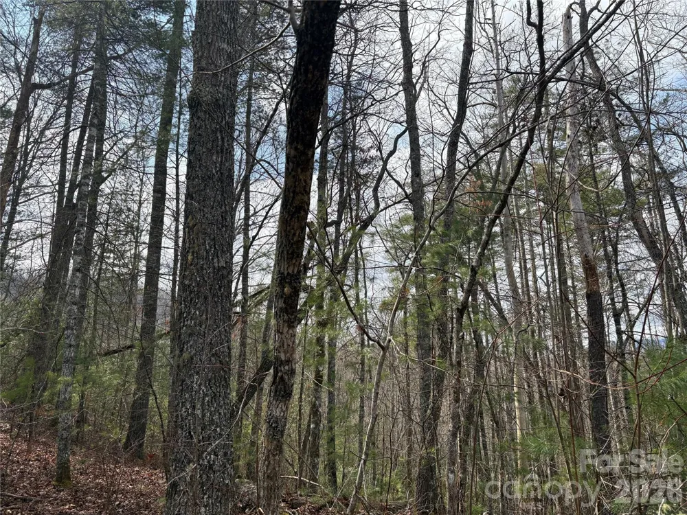 00 Round Hill Road #14 Bryson City, NC 28713