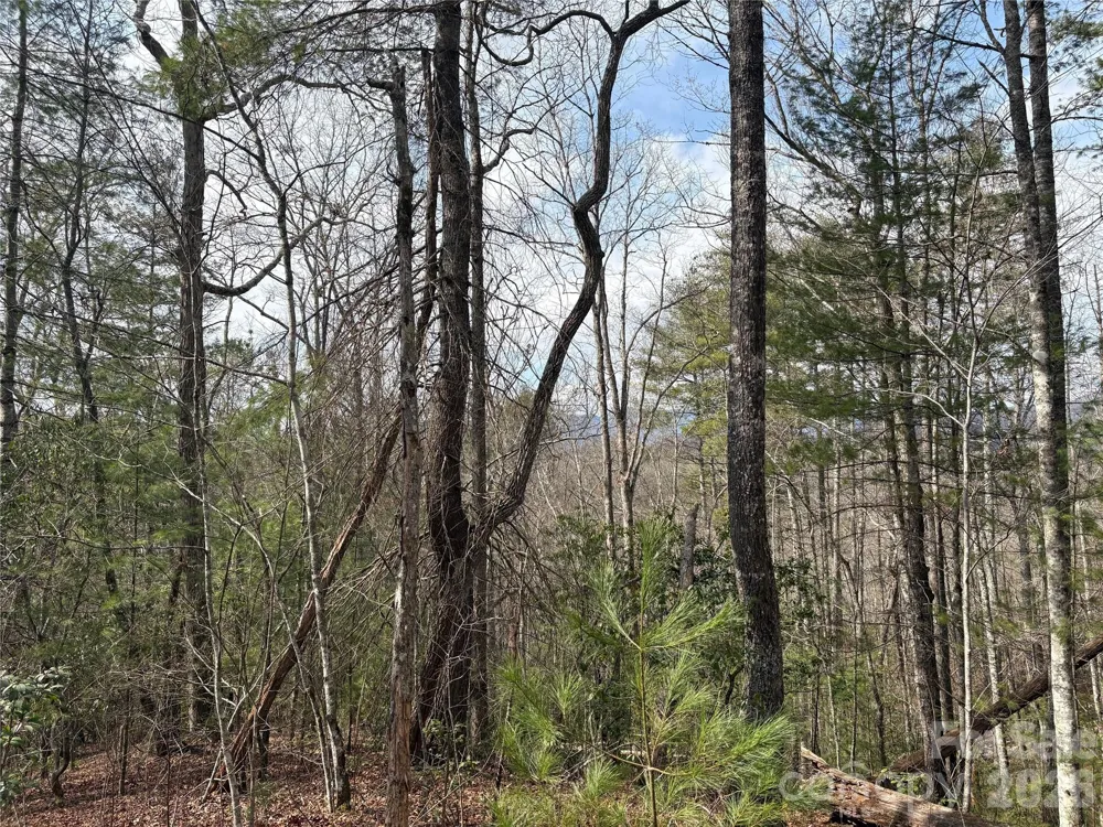 00 Round Hill Road #14 Bryson City, NC 28713