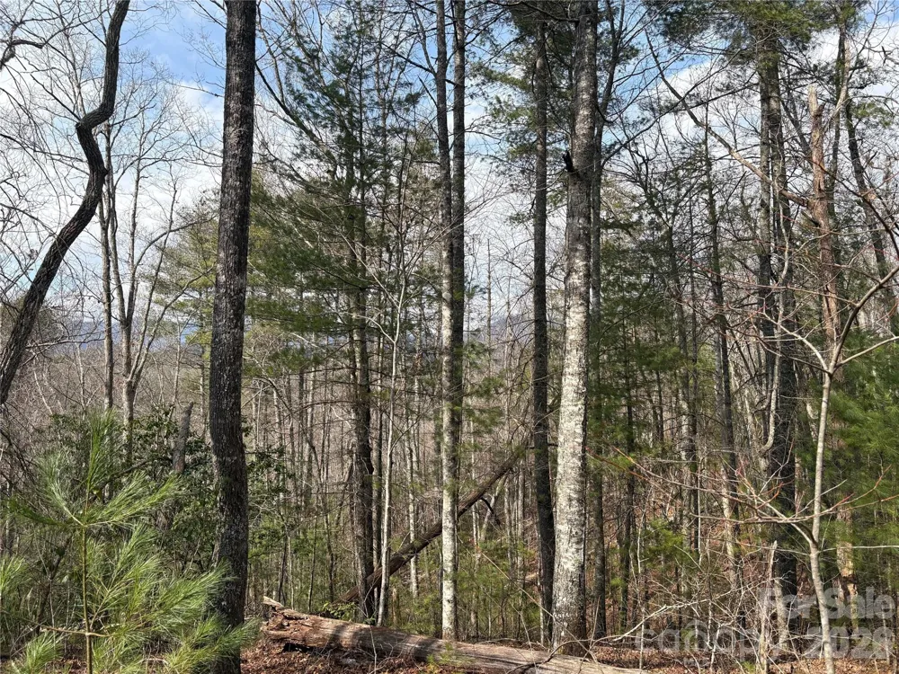 00 Round Hill Road #14 Bryson City, NC 28713