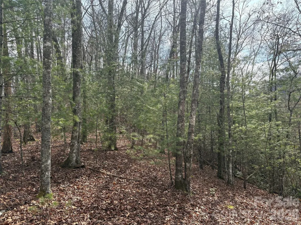 00 Round Hill Road #14 Bryson City, NC 28713