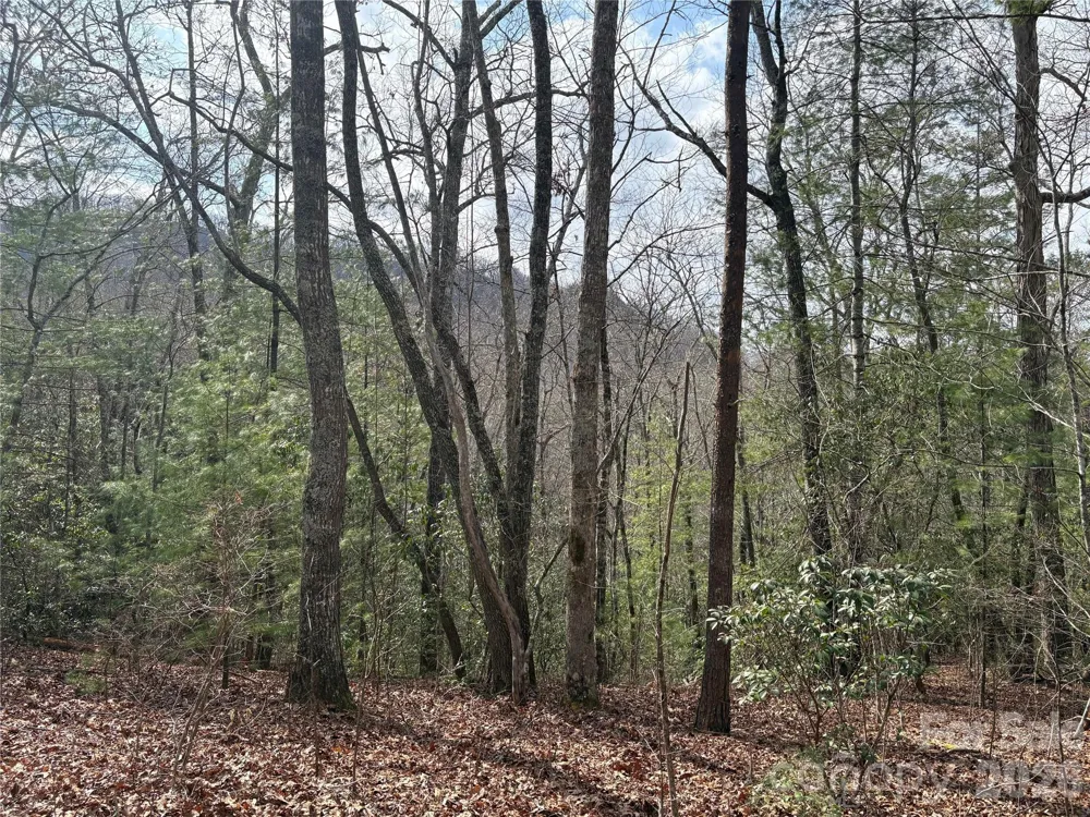 00 Round Hill Road #14 Bryson City, NC 28713