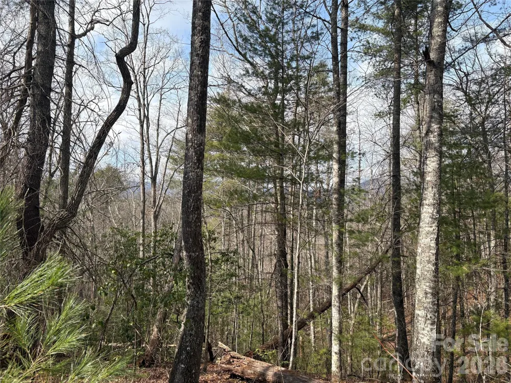 00 Round Hill Road #14 Bryson City, NC 28713