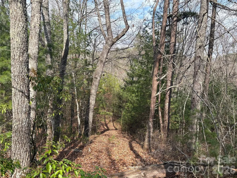 00 Round Hill Road #14 Bryson City, NC 28713