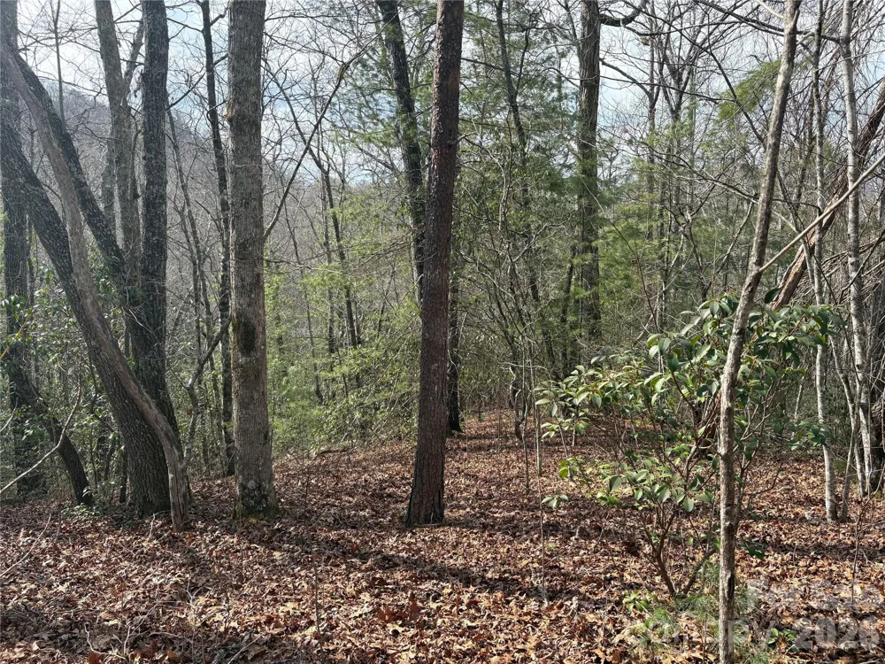 00 Round Hill Road #14 Bryson City, NC 28713
