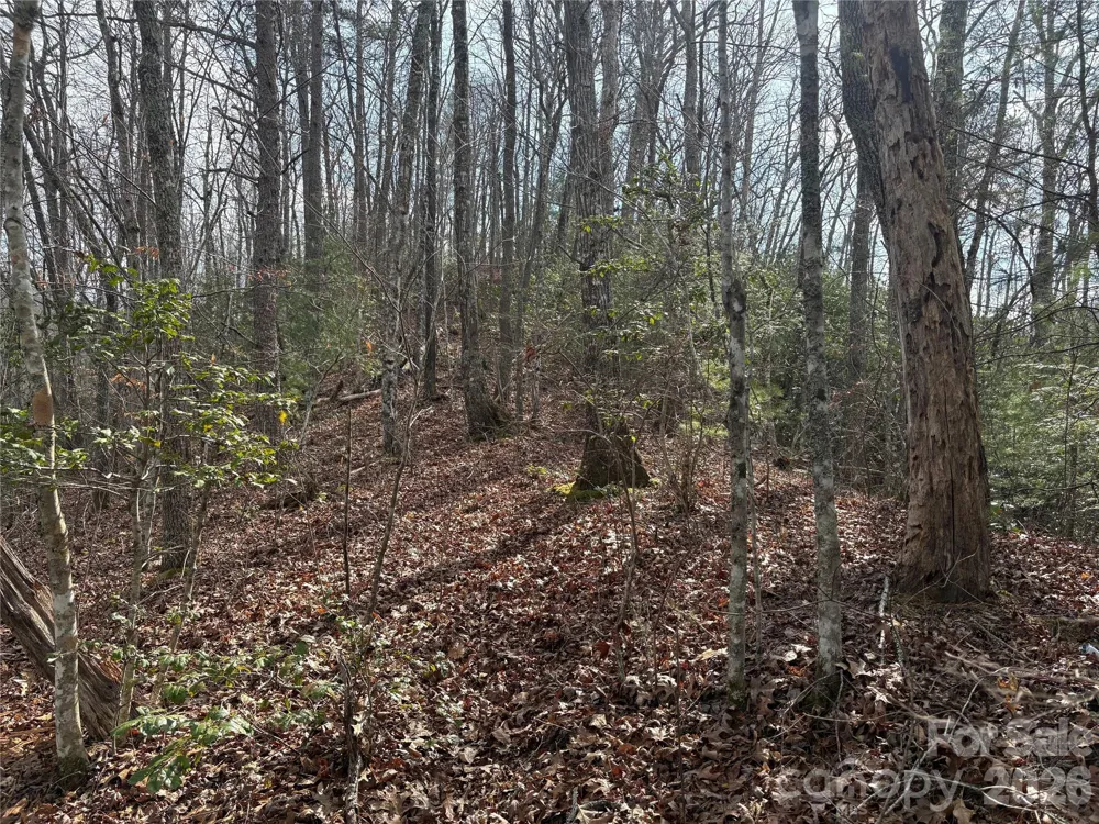 00 Round Hill Road #14 Bryson City, NC 28713