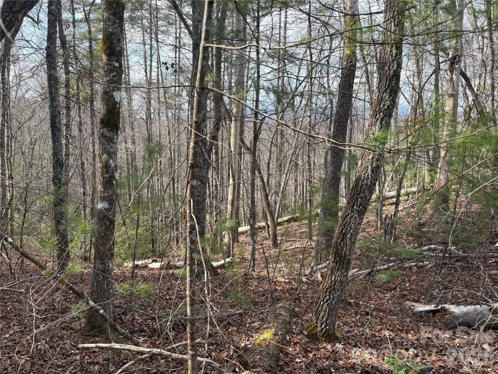 00 Round Hill Road #14 Bryson City, NC 28713