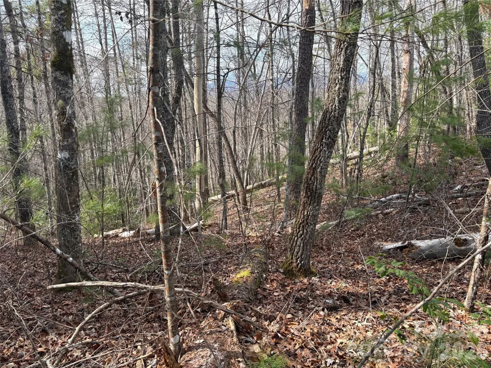 00 Round Hill Road #14 Bryson City, NC 28713