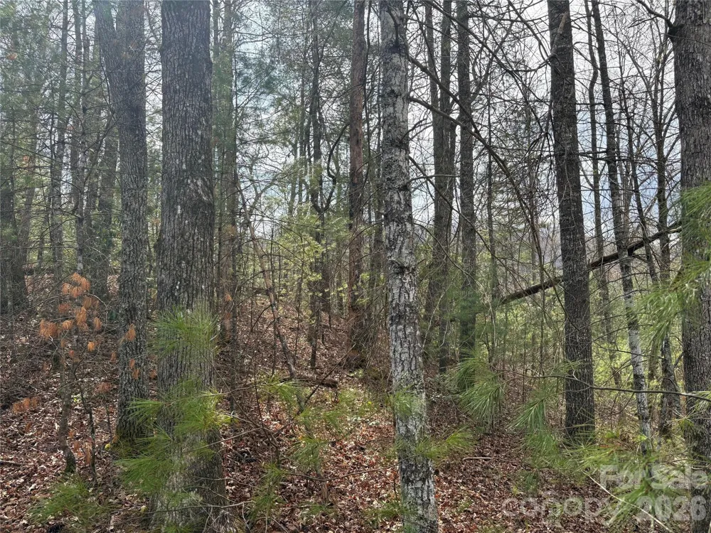 00 Round Hill Road #14 Bryson City, NC 28713