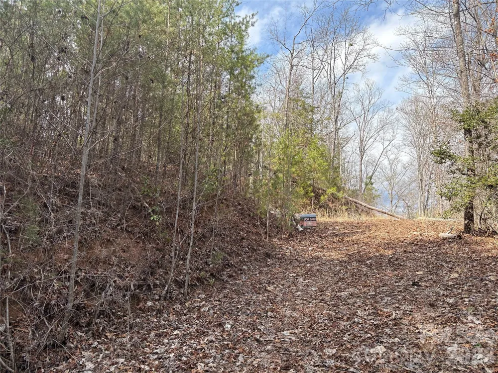 00 Round Hill Road #14 Bryson City, NC 28713