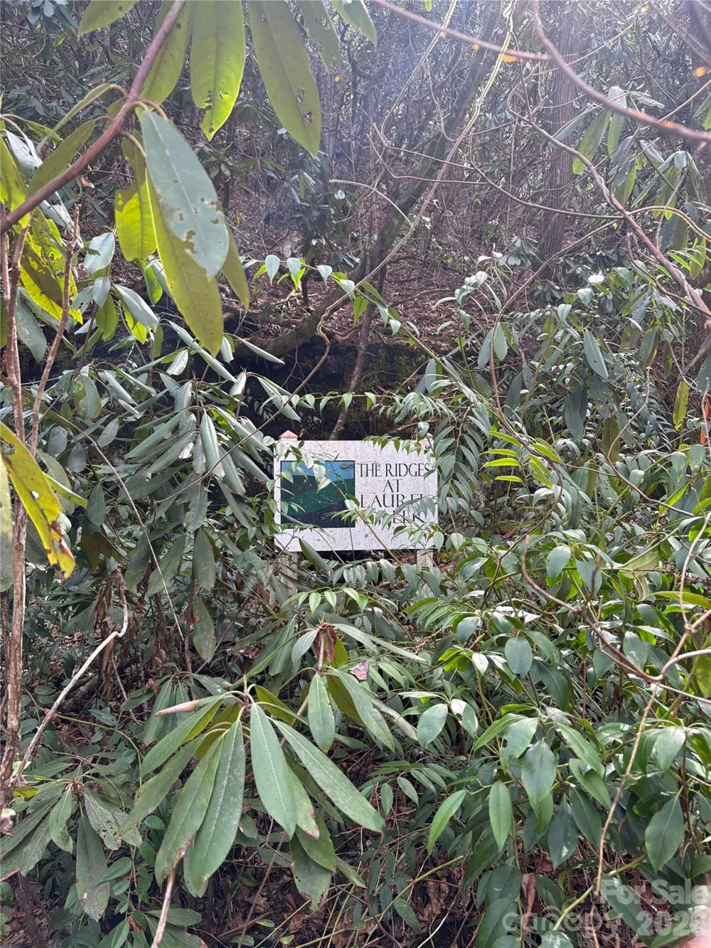 00 Round Hill Road #14 Bryson City, NC 28713