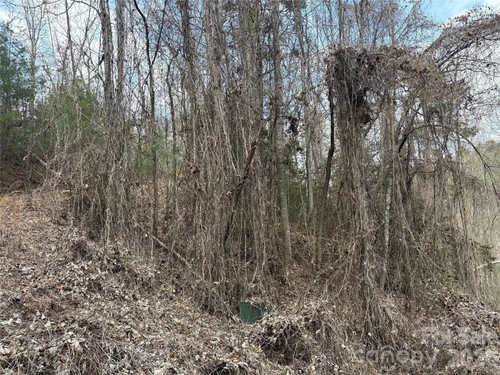 00 Round Hill Road #14 Bryson City, NC 28713