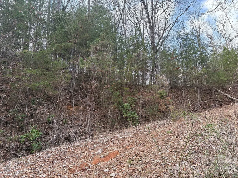 00 Round Hill Road #14 Bryson City, NC 28713
