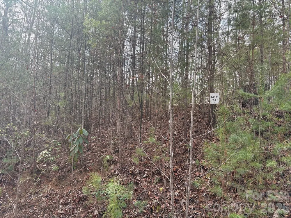 00 Round Hill Road #14 Bryson City, NC 28713