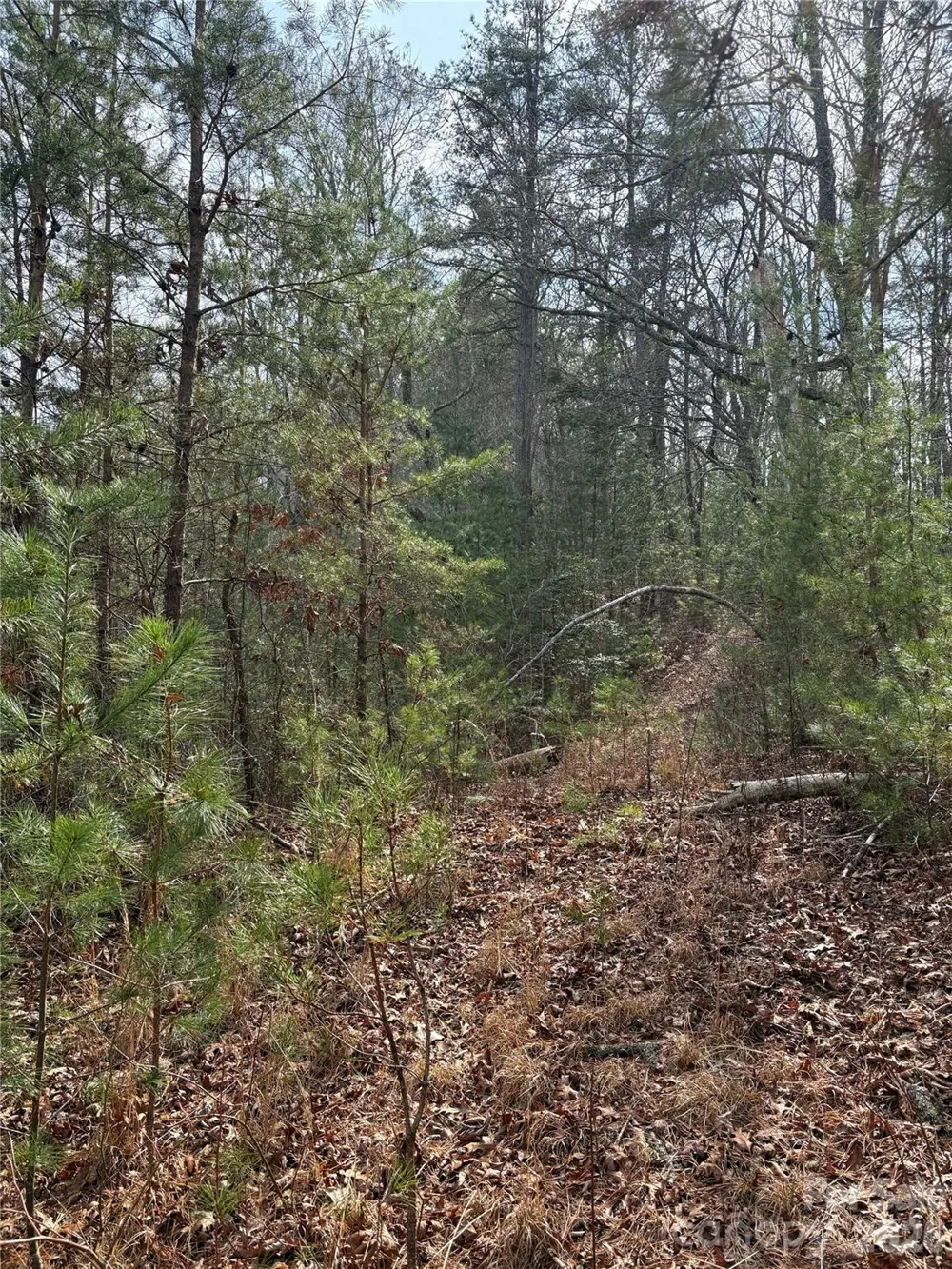 00 Round Hill Road #14 Bryson City, NC 28713