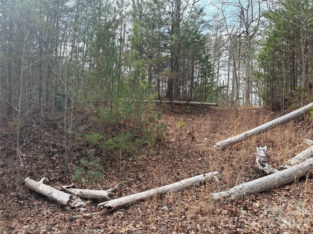00 Round Hill Road #14 Bryson City, NC 28713