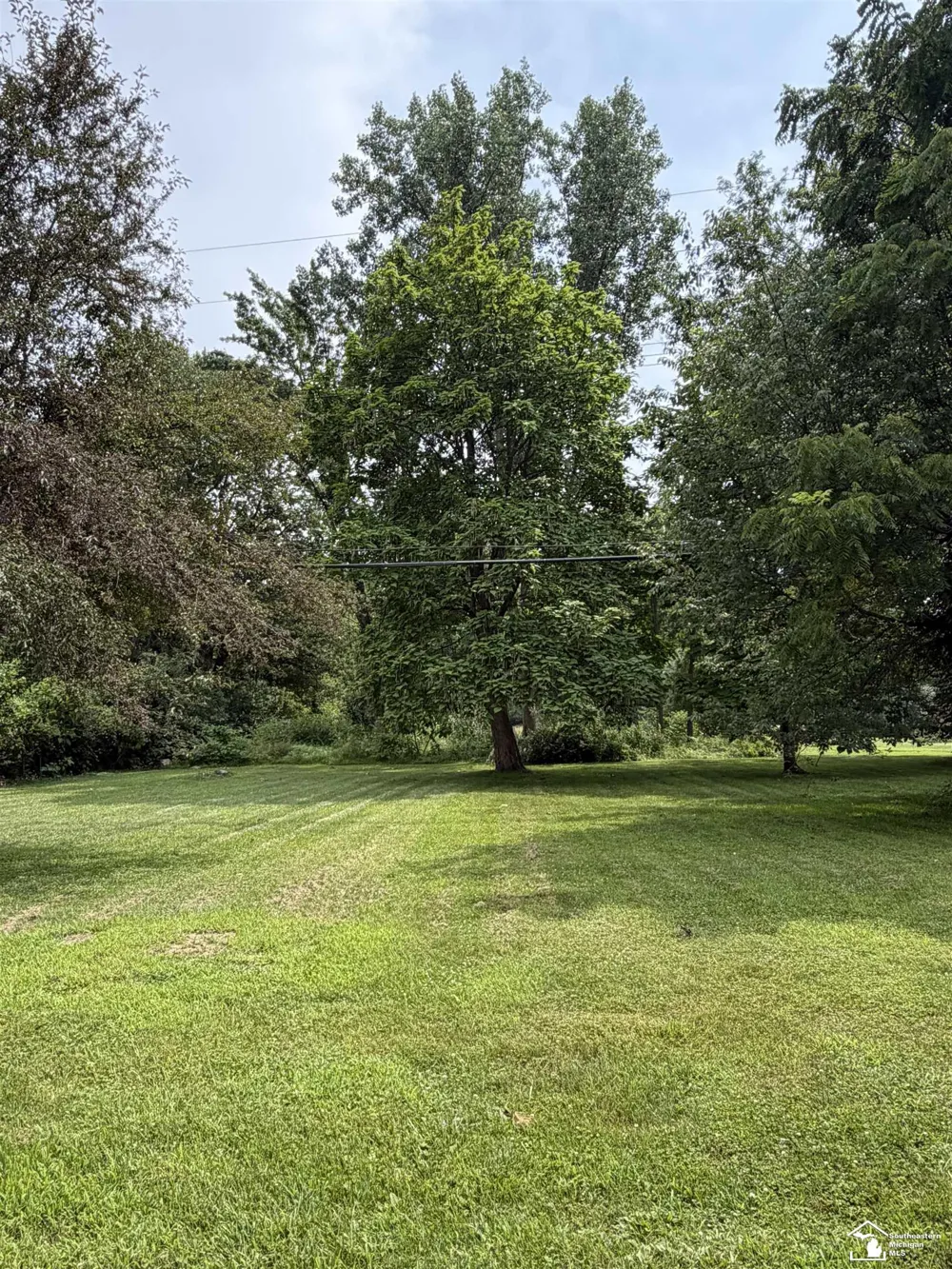 533 Center Street Carleton Village, MI 48117