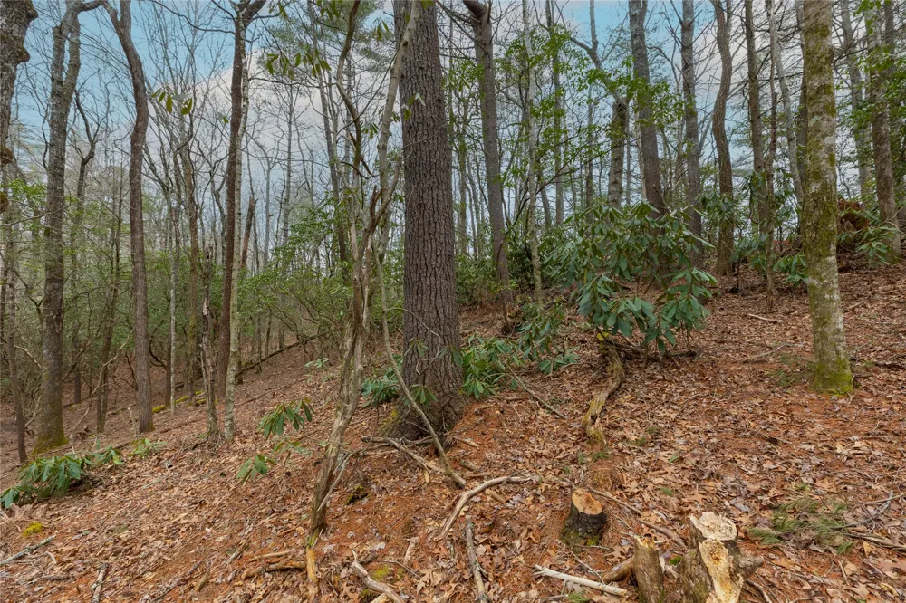 Lot 48 Winding Creek Road Sapphire, NC 28774