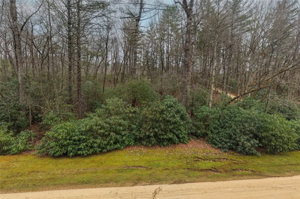 Lot 48 Winding Creek Road Sapphire, NC 28774