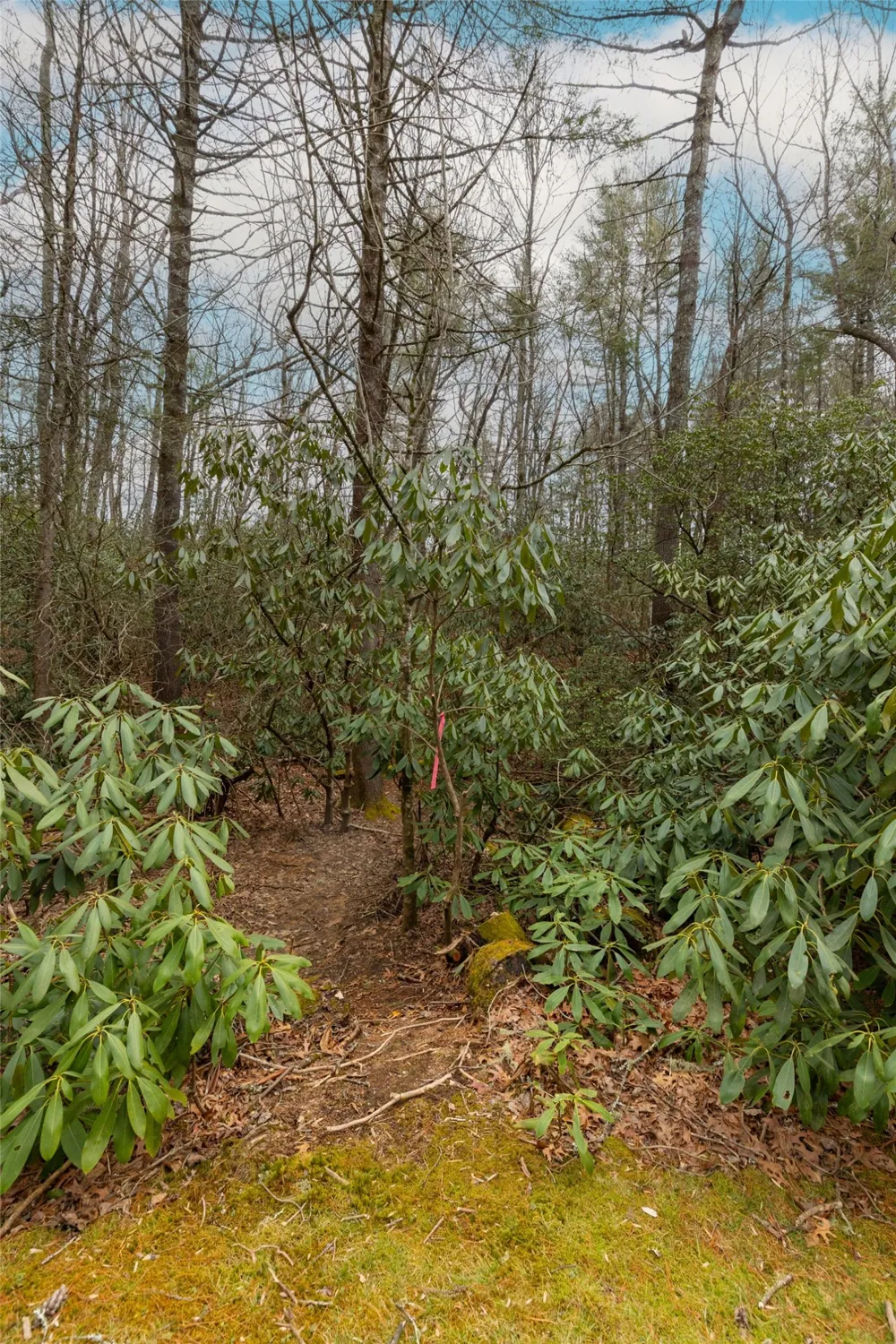 Lot 48 Winding Creek Road Sapphire, NC 28774