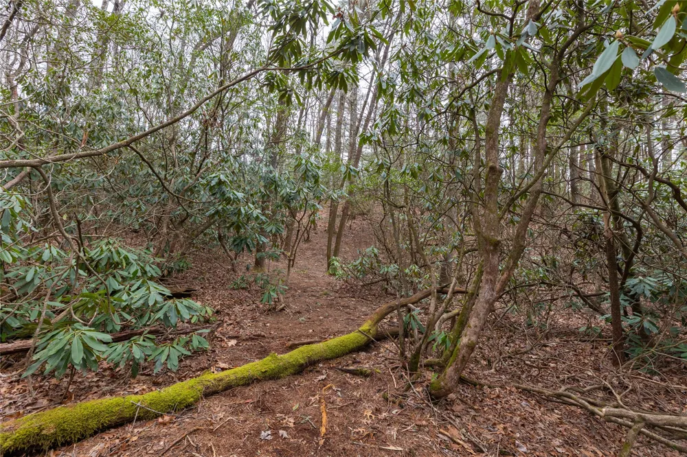 Lot 48 Winding Creek Road Sapphire, NC 28774