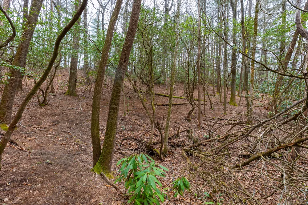 Lot 48 Winding Creek Road Sapphire, NC 28774