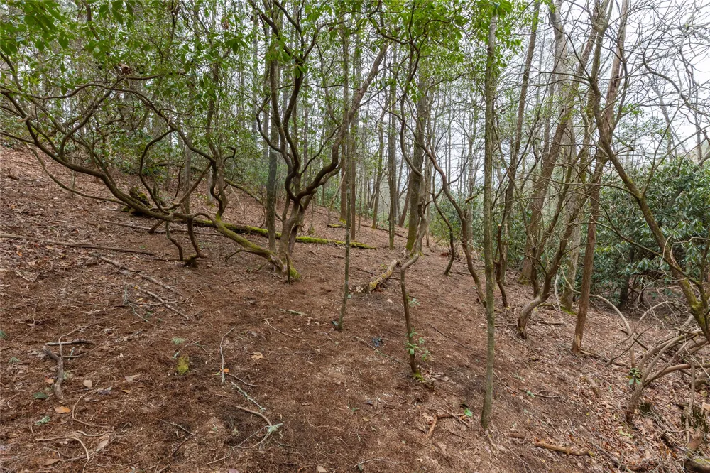 Lot 48 Winding Creek Road Sapphire, NC 28774