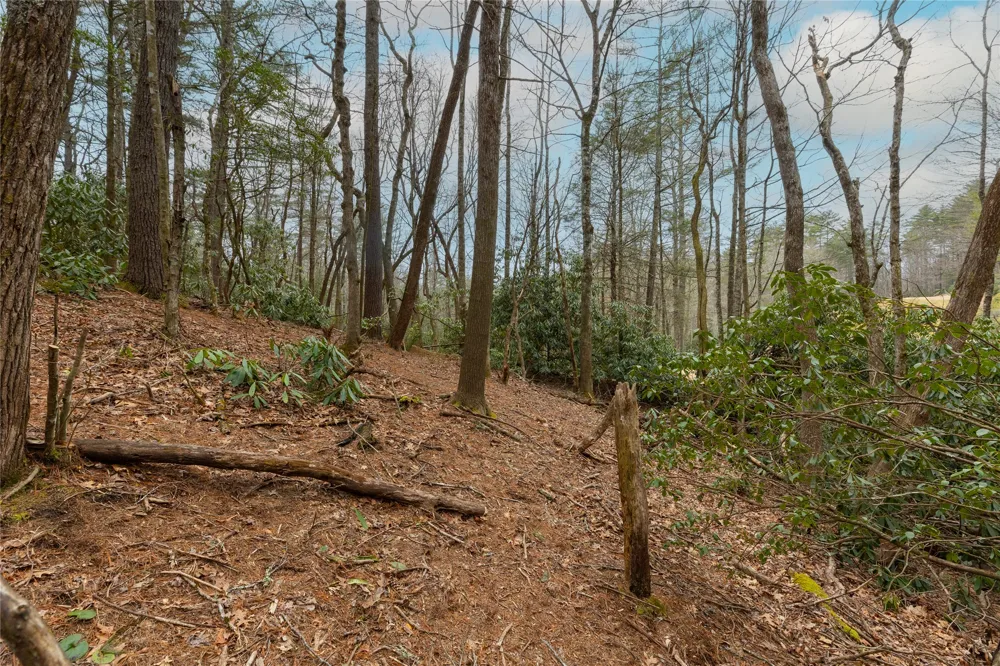 Lot 48 Winding Creek Road Sapphire, NC 28774