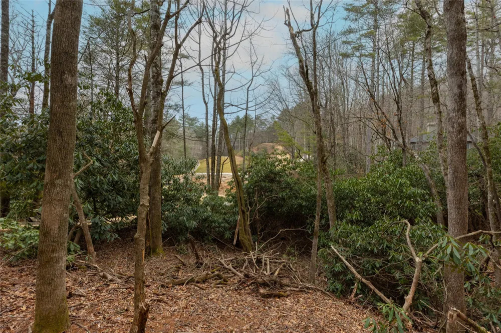 Lot 48 Winding Creek Road Sapphire, NC 28774