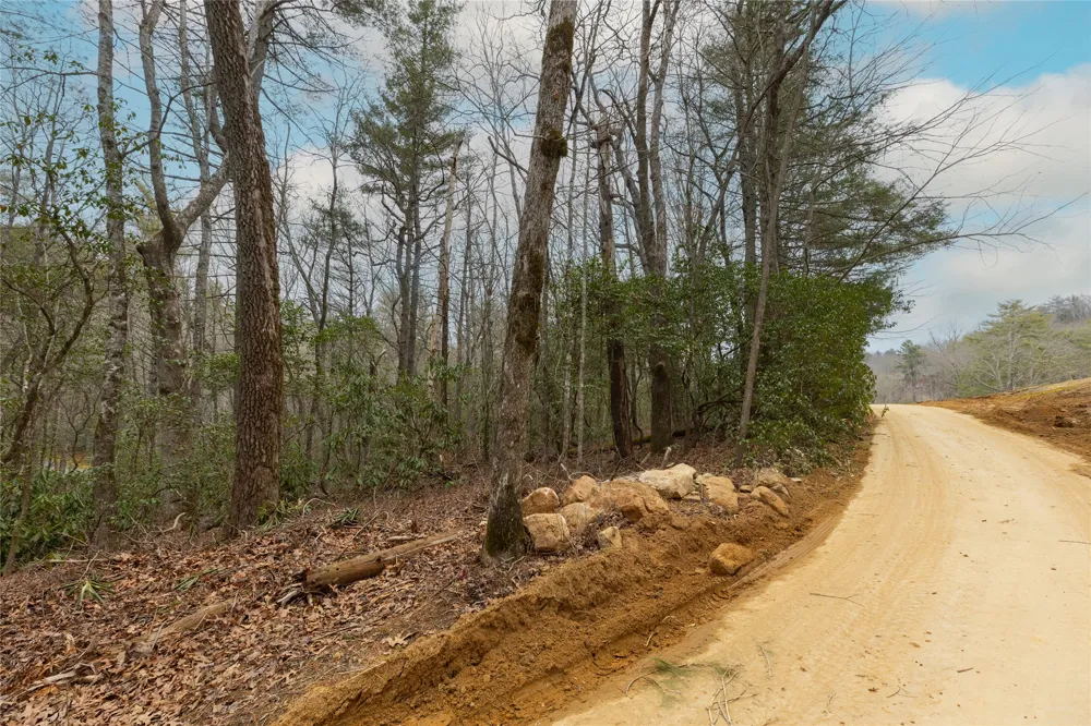 Lot 48 Winding Creek Road Sapphire, NC 28774