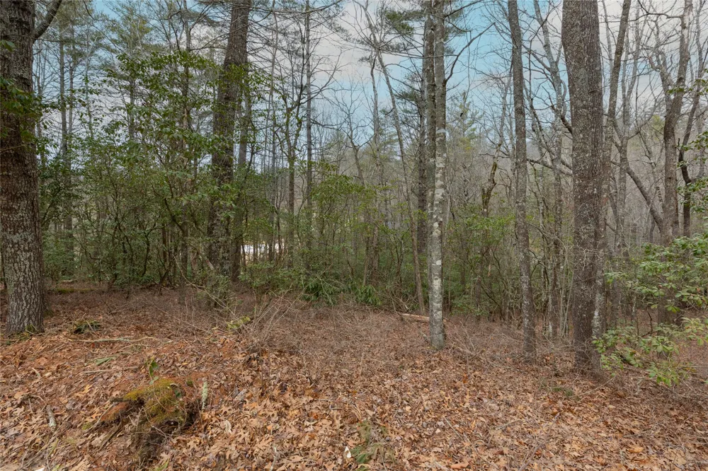 Lot 48 Winding Creek Road Sapphire, NC 28774