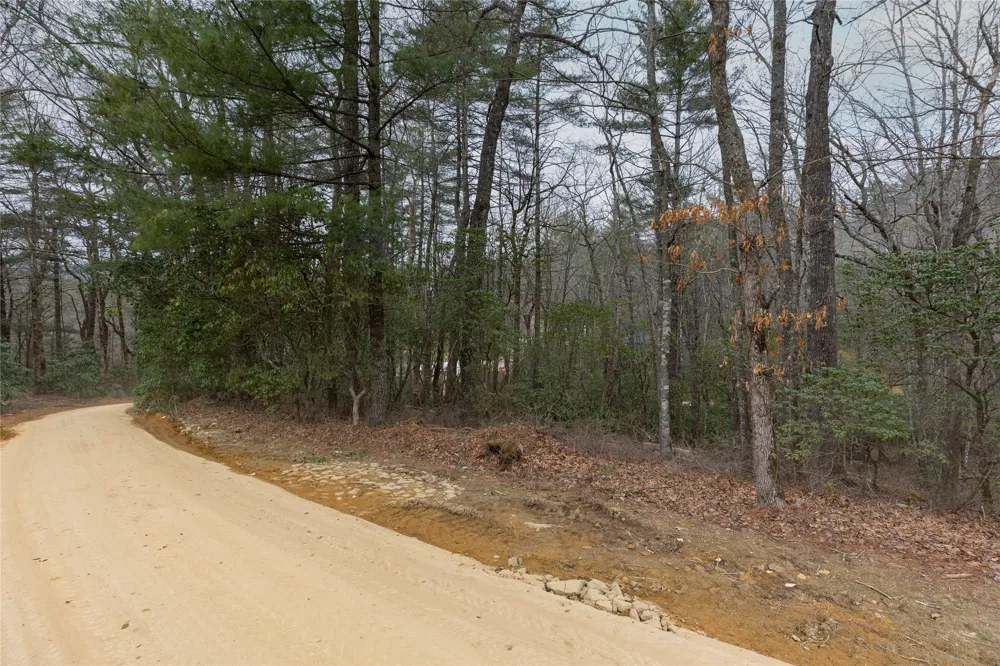 Lot 48 Winding Creek Road Sapphire, NC 28774
