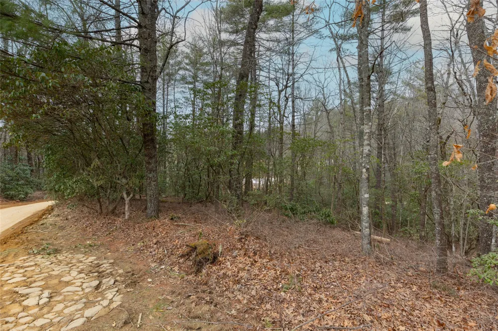 Lot 48 Winding Creek Road Sapphire, NC 28774