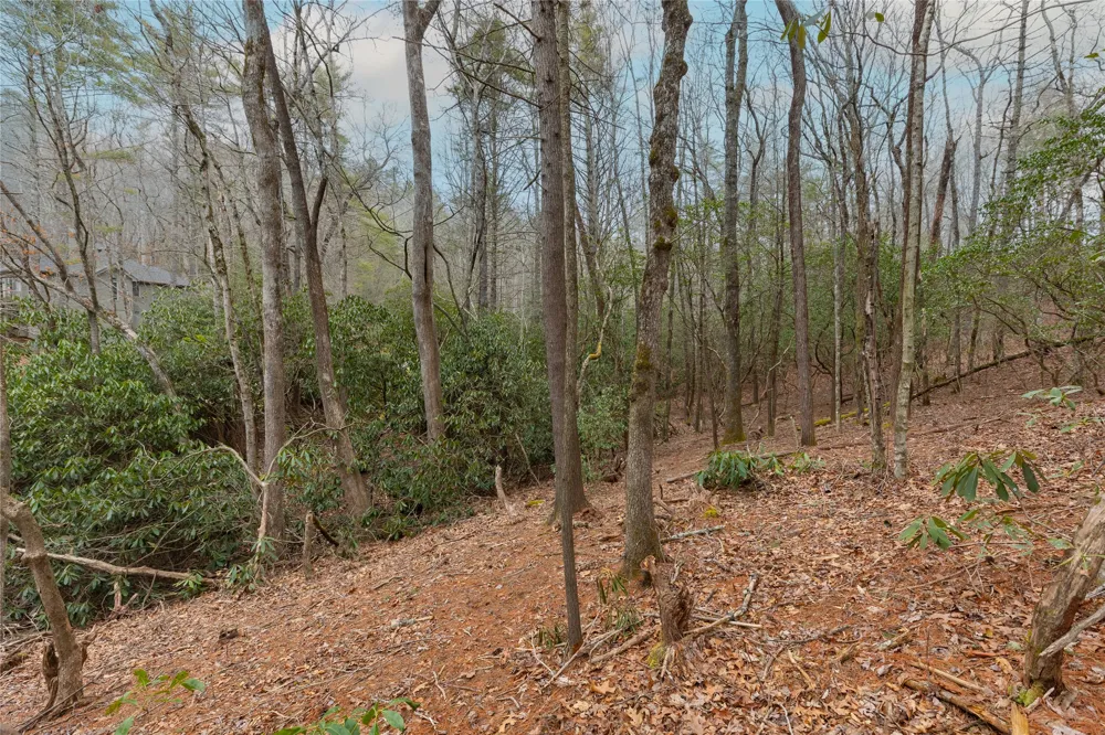Lot 48 Winding Creek Road Sapphire, NC 28774