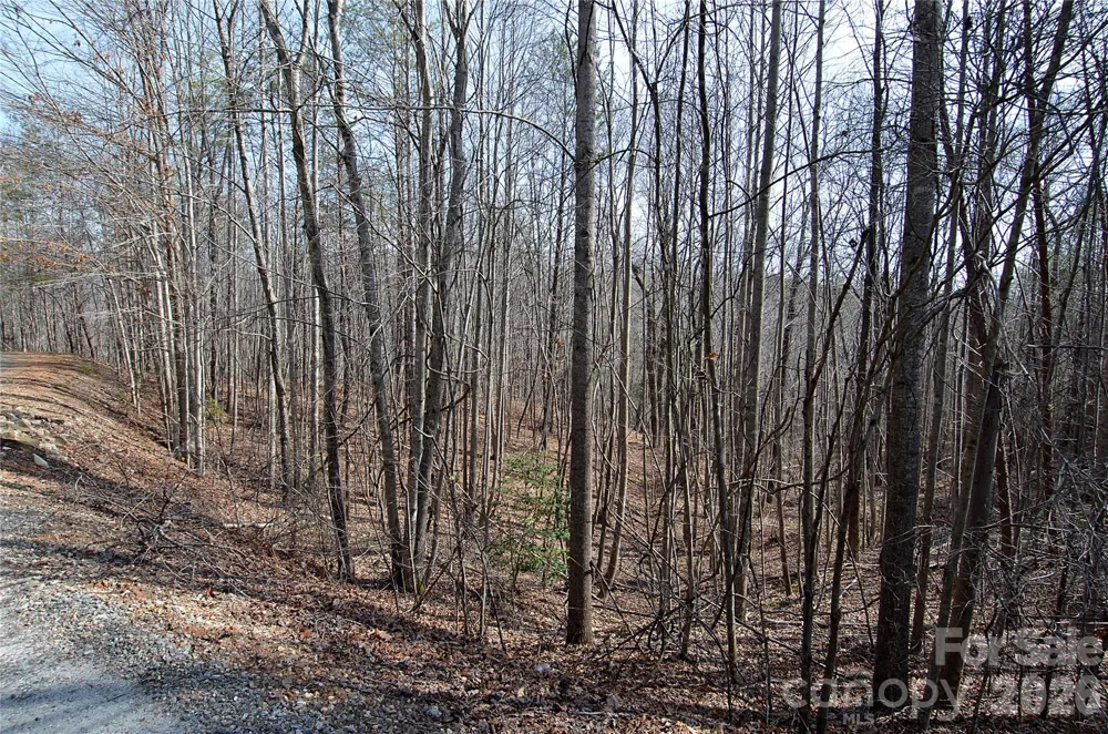 00 Sundance Drive #3-IV Nebo, NC 28761