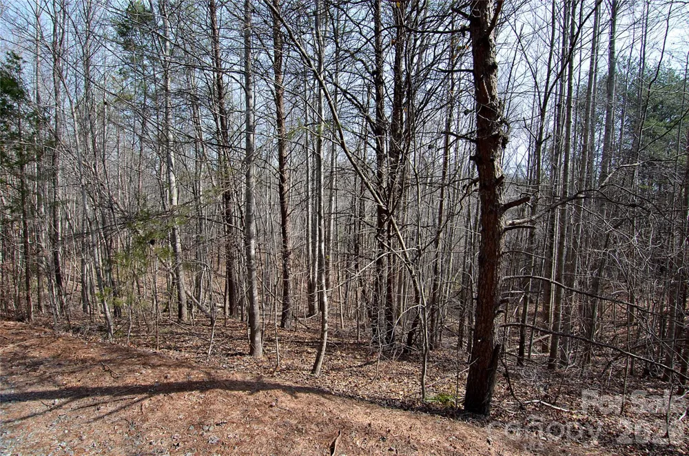 00 Sundance Drive #3-IV Nebo, NC 28761