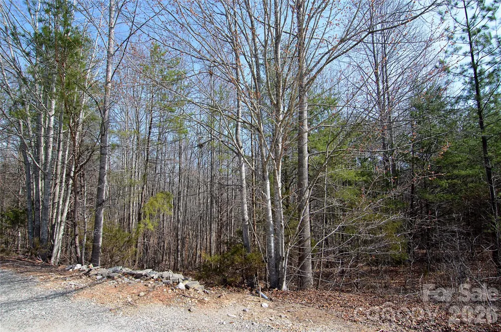 00 Sundance Drive #3-IV Nebo, NC 28761