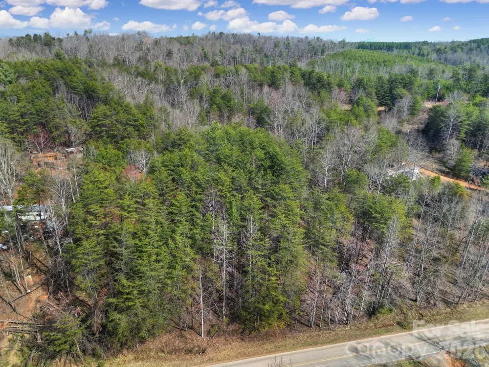 236 Dirty Ankle Road Lawndale, NC 28090