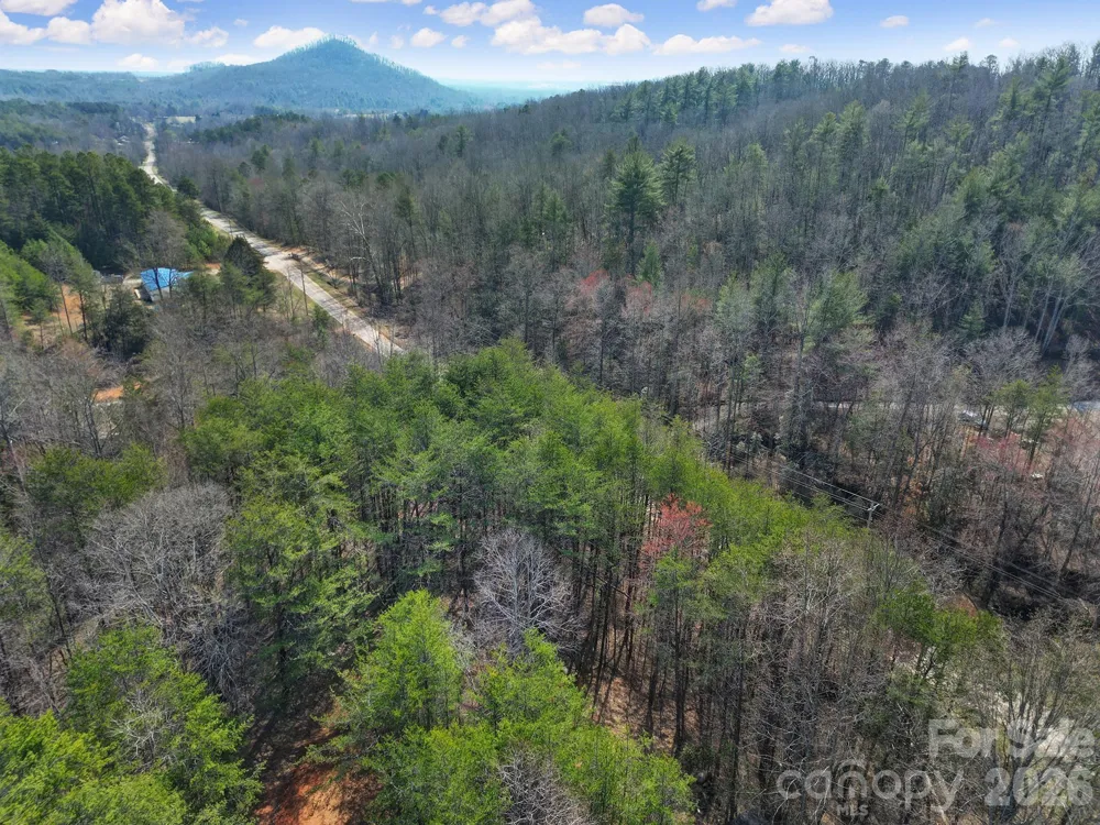 236 Dirty Ankle Road Lawndale, NC 28090