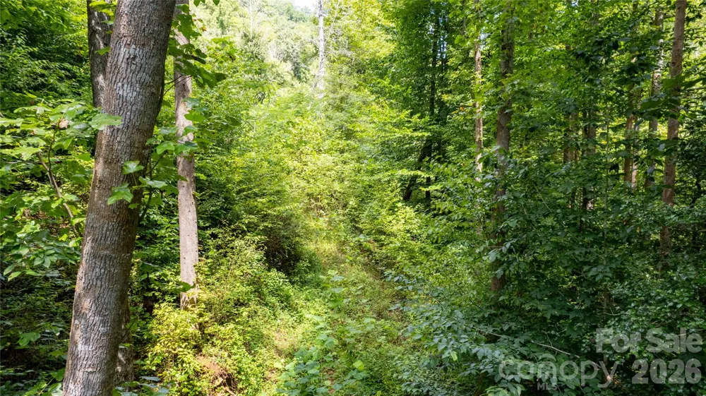 TBD Collettsville Road #11 Collettsville, NC 28611