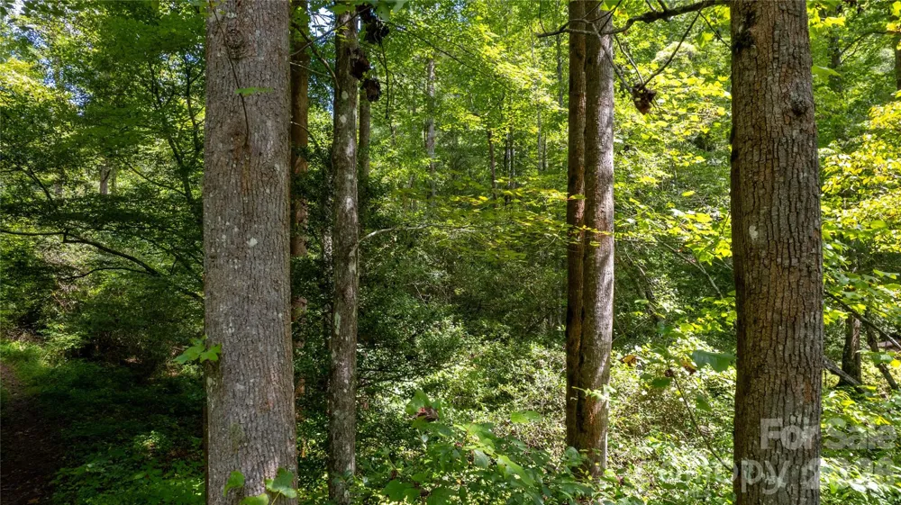 TBD Collettsville Road #7 Collettsville, NC 28611