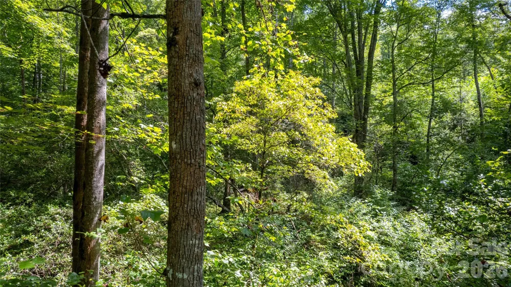 TBD Collettsville Road #7 Collettsville, NC 28611