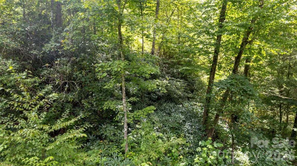 TBD Collettsville Road #7 Collettsville, NC 28611