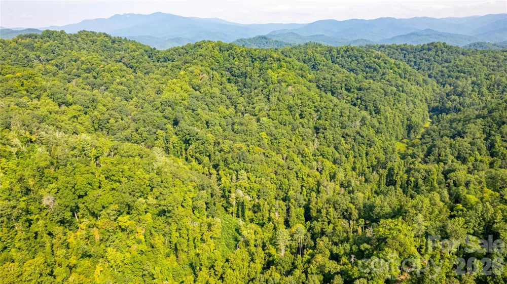 TBD Collettsville Road #7 Collettsville, NC 28611