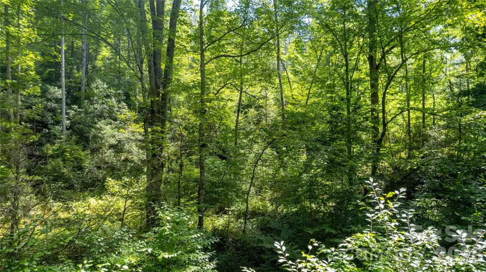 TBD Collettsville Road #7 Collettsville, NC 28611