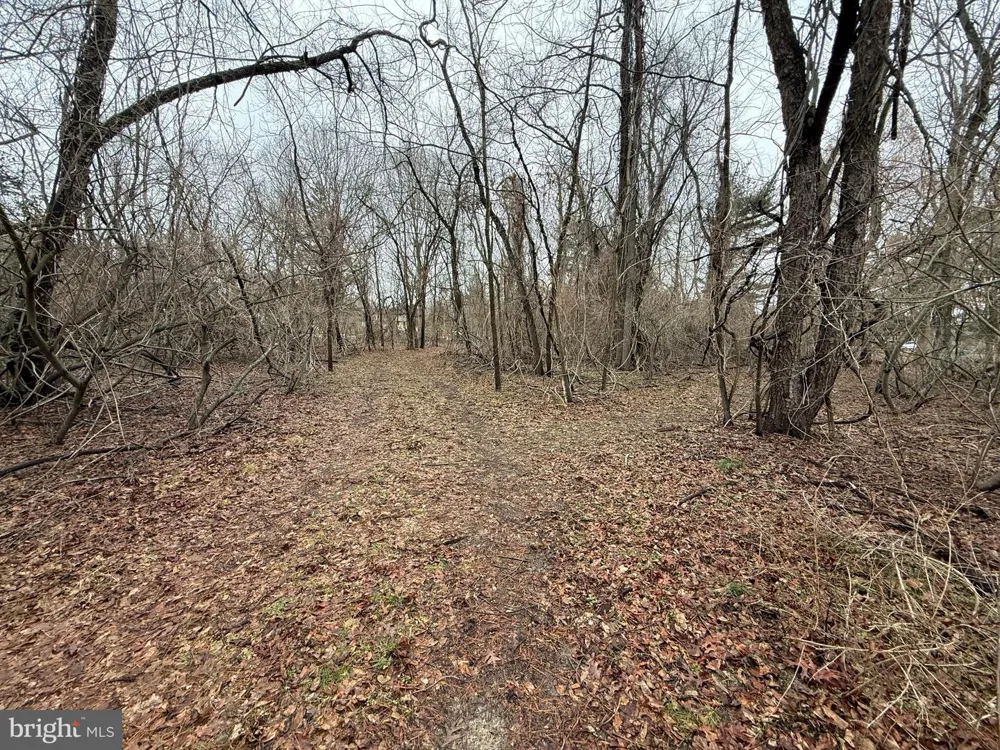 0 WATERFORD ROAD Hammonton, NJ 08037