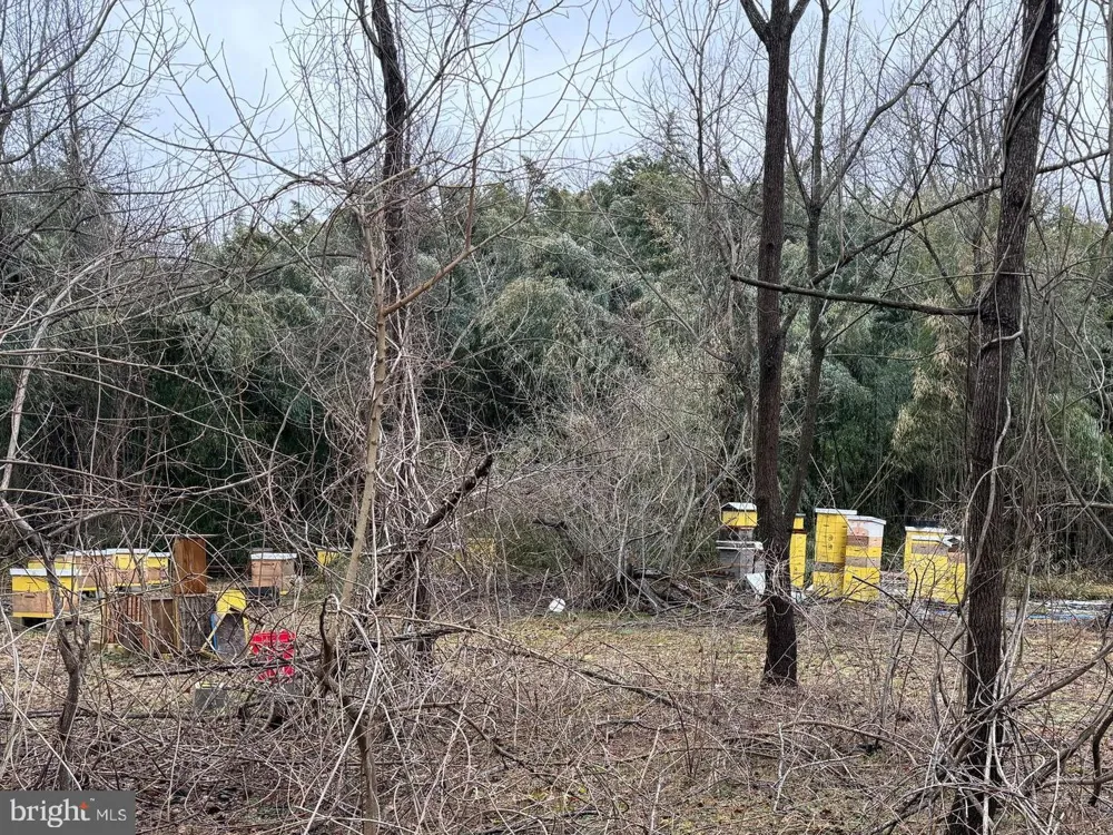0 WATERFORD ROAD Hammonton, NJ 08037