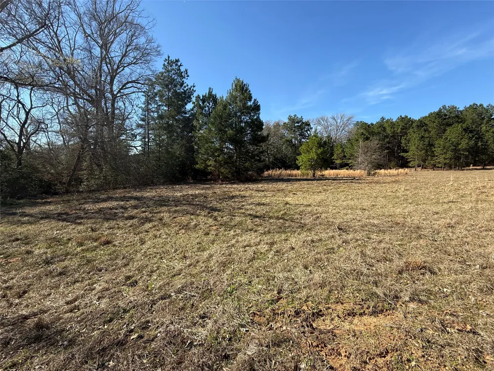 CR  1755 Grapeland, TX 75844